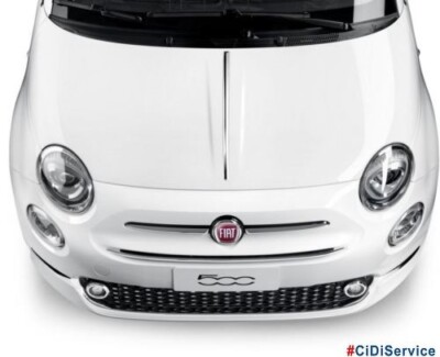 50901691 Chrome Ornament Insert Trim Front Hood Fiat 500 (312) | eBay