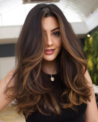 Dark Brown with Dark Blonde Highlights 13x4 Lace Front Human  display picture 2