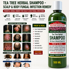 Effective Remedy for Scalp Infection Folliculitis Herbal Tea Tree Shampoo 500 ML