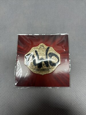 WCW NWO World Heavyweight Championship Belt Loot Slam Crate Pin WWE NXT Big Gold