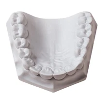 WhipMix Laboratory Plaster  - White - Fast Set -  33 lbs