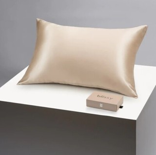 Blissy 100% Mulberry Silk TWO QUEEN Pillowcases Champagne