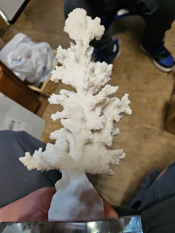 White Coral Sculpture With Crystal Base From Apropos Very Detailed And Heavy - Image 4 of 4