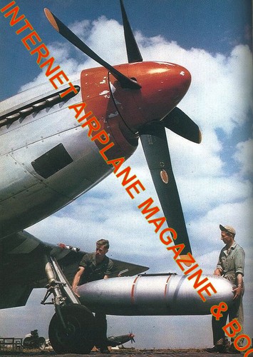 WARBIRDS ILLUSTRATED 31 AIR WAR OVER GERMANY MIGHTY 8TH AF B-17 B-24 FG BG USAAF - Picture 5 of 8