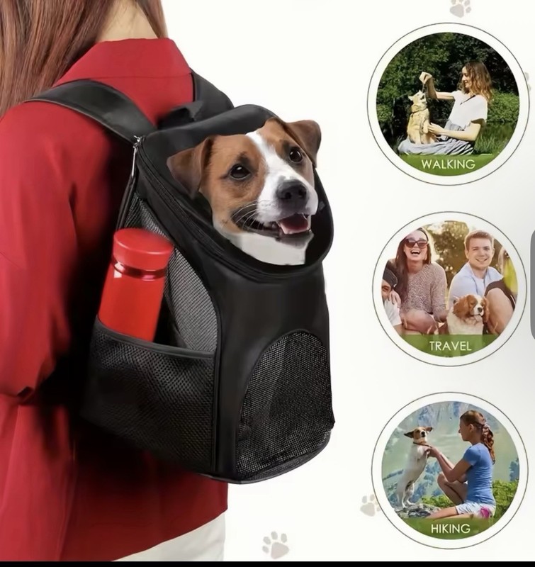 Small Dog Backpack Carrier Black Mesh Polyester - Size S Jack Russell Terrier