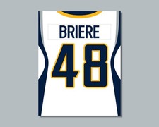 DANIEL BRIERE Buffalo Sabres comparable Hockey Photo Picture 8x10 11x14 16x20 JZ