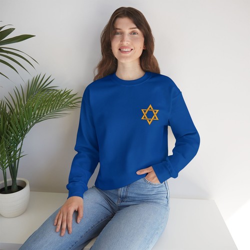 Davidstern besticktes Sweatshirt, jüdischer Feiertag, Chanukka Geschenke, Übergröße - Bild 3 von 21