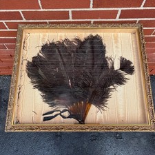 Vintage 1900c Faux Tortoise  Ostrich Feather Fan in a Frame