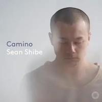 Sean Shibe - Camino | De Falla/Jos?/Satie/Mompou/Ravel/+ | Audio-Cd | CD | 2021