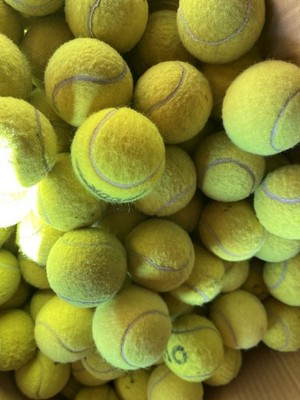 30 gebrauchte Tennisbälle - Ihr Hund wird diese absolut lieben. Qualitätskugeln