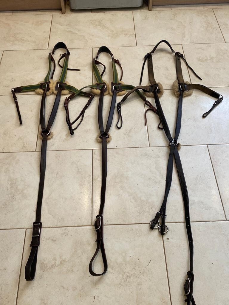 5 Point Breastplate for sale in UK View 55 bargains