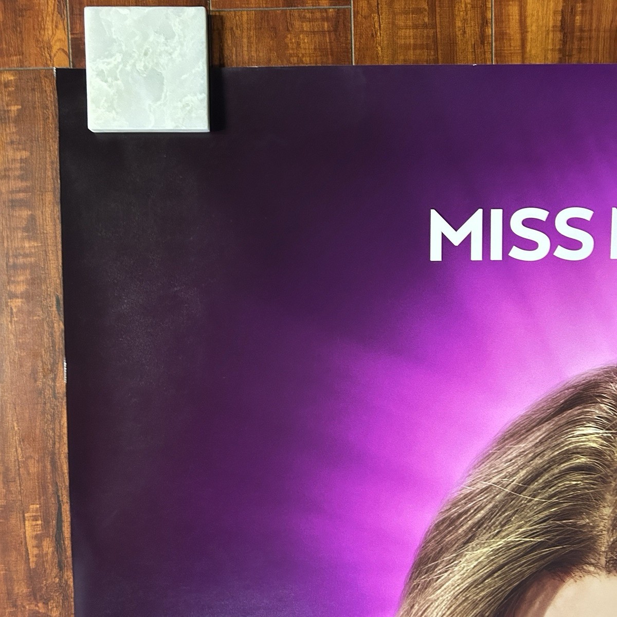 MEGAN 2.0 MISS ME? I KNOW 2025 Original Universal Bus Stop Movie