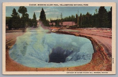 Morning Glory Pool Yellowstone National Park Haynes 16049 Postcard