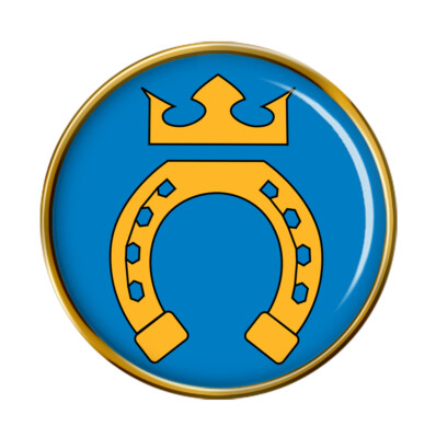 Espoo (Finnland) Anstecknadel