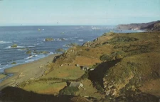 Southern Oregon Coast Brookings Azalea State Park Chrome Vintage Post Card