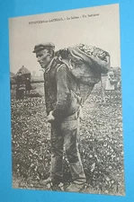 Old postcard 45 - Pithiviers-en-GATINAIS - Le Safran - Un Sefrinier