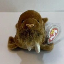 Ty Beanie Baby Paul the Walrus 1999