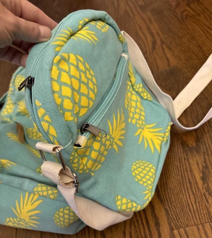 Matching Set Adjustable Canvas Pineapple Backpack… - image 3