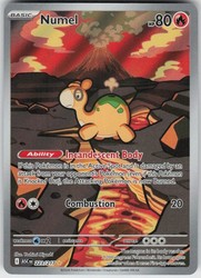 Numel 223/217 Illustration Rare Ascended Heroes