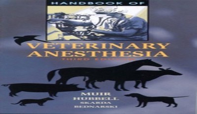 Handbook of Veterinary Anesthesia by Bednarski, Richard M. Paperback / softback