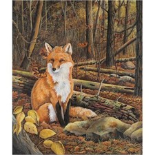 Paint By Numbers Adults kids Fox Animal Forest DIY Painting Kit 40x50CM Canvas
