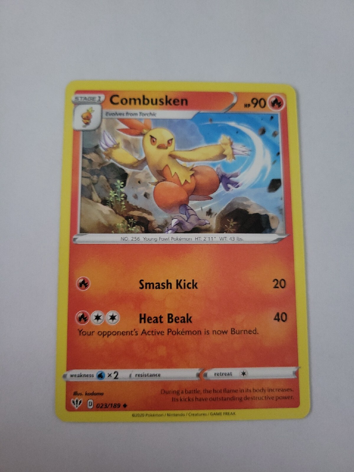 Combosken Pokémon TCG Combusken Darkness Ablaze 023/189 Regular Uncommon Fire NM ...