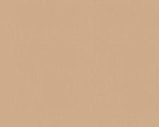 Lars Contzen Vliestapete Lars Contzen Braun Uni 881540