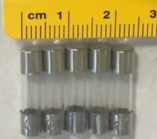 Glass Fast Blow 2A AMP Fuse Replacement for Garmin Power Cord
