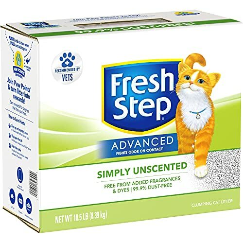 fresh step lightweight unscented