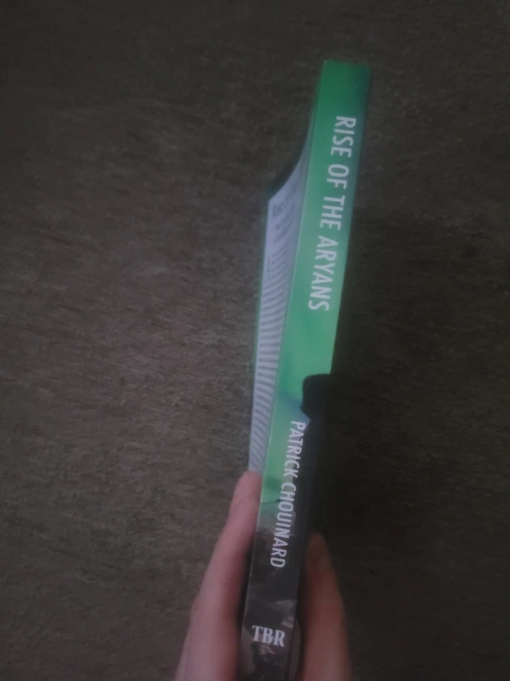 Rise of the Aryans By Patrick Chouinard Paperback New  - Image 2 of 3