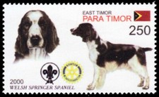 TIMOR LESTE 2001m - Dogs of the World "Welsh Springer Spaniel" (pb74137+)