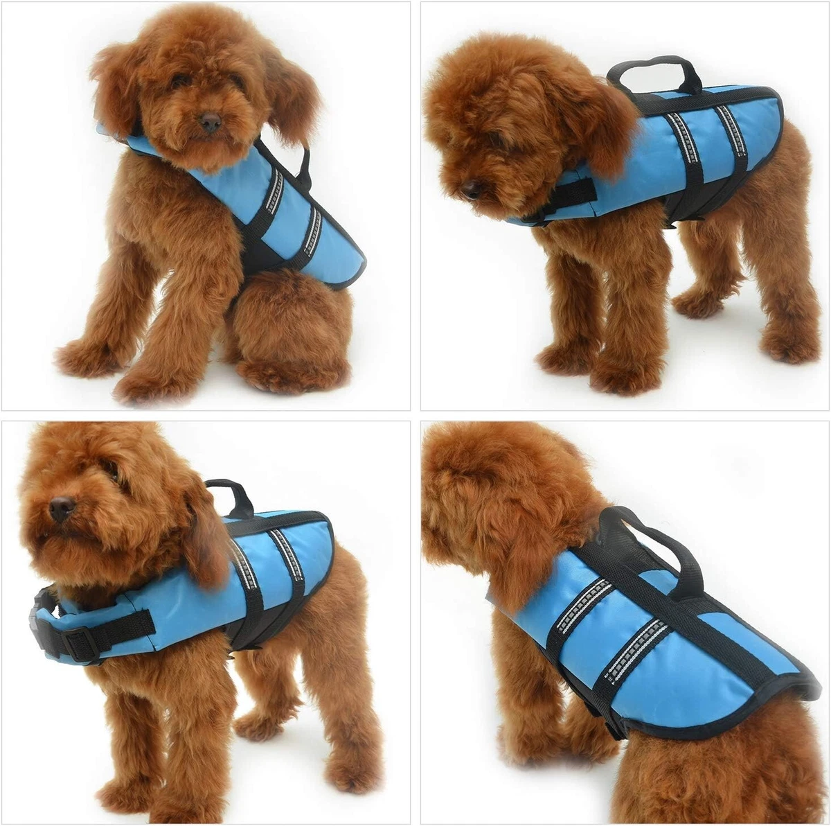 Life jackets for little dogs cheap
