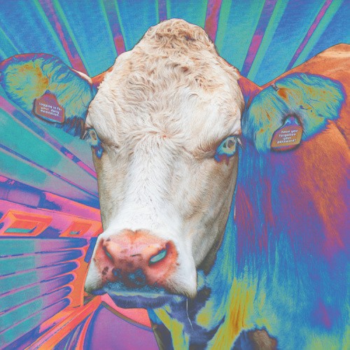 Eyes of Others by Eyes of Others [CD]