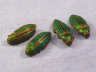ART DECO EGYPTIAN REVIVAL ANTIQUE INSECT BUG SCARAB BEETLE JEWELLERY SPARES X4