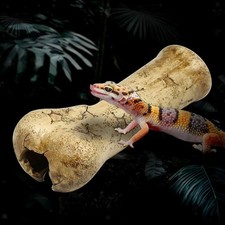 Reptile Rock Hide Cave Aquarium Habitat Decor Decorative Creative Landscape