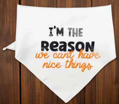 Medium I'm the Reason We Can't Have Nice Things Dog Bandana - Cute Dog Clothes