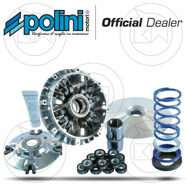 Polini 241696 Variator Evolution 3 III Evo 12 Rollen Yamaha T-Max 500 2004-image