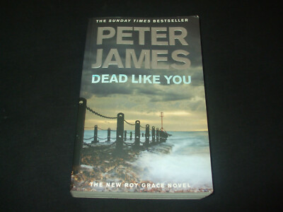Peter James - Dead Like You - The new Roy Grace Novel - gr. Taschenbuch Englisch