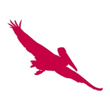 Pelican Stork Heron - Vinyl Decal Sticker - Multiple Color & Sizes - ebn945
