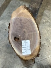Black Walnut Cookie Slab #2368, live edge slab, unfinished, free shipping