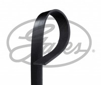 Gates Keilrippenriemen Passend FüR Land Rover Range 4.4 4X4 Discovery III 8PK850