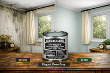 Damp Proof Anti Mould Paint Interior Anti Condensation Wall Ceiling Matt Paint