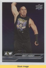 2024 Upper Deck AEW All Elite Wrestling Silver Foil Matt Hardy #13 READ 1i7h