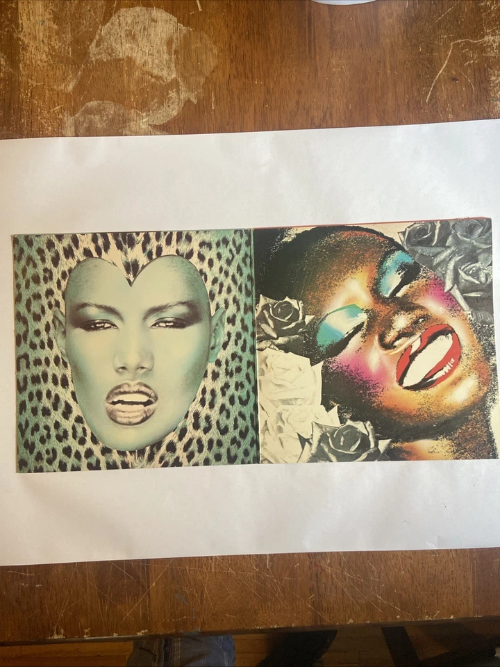 PORTFOLIO - Grace Jones - 1977 Island Records ILPS 9470 - Gatefold Cover - VG+ Foto 3 de 4