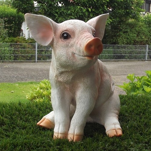 Gartenfigur Schwein Ferkel 7854 sitzend Haus Garten Deko lebensecht
