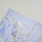 Picture 7 of 24