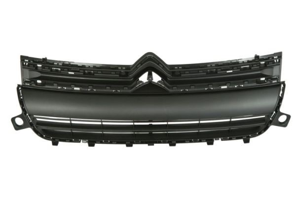 BLIC 6502-07-0554990Q Radiator Grille for CITROËN