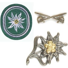 Gebirgsjäger Edelweiß Abzeichen – Metall Mützenabzeichen, gekreuzte Schwerter