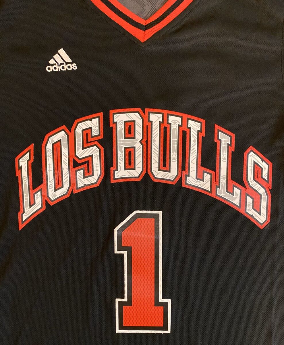 Authentic Rookie Derrick Rose Chicago Bulls white jersey adidas sz 40 / M RARE !