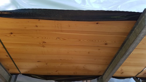 Glattkantbretter 21 x 170 x 5100 mm Sibirische Lärche Holz Tischlerei Zimmerei - Bild 2 von 2
